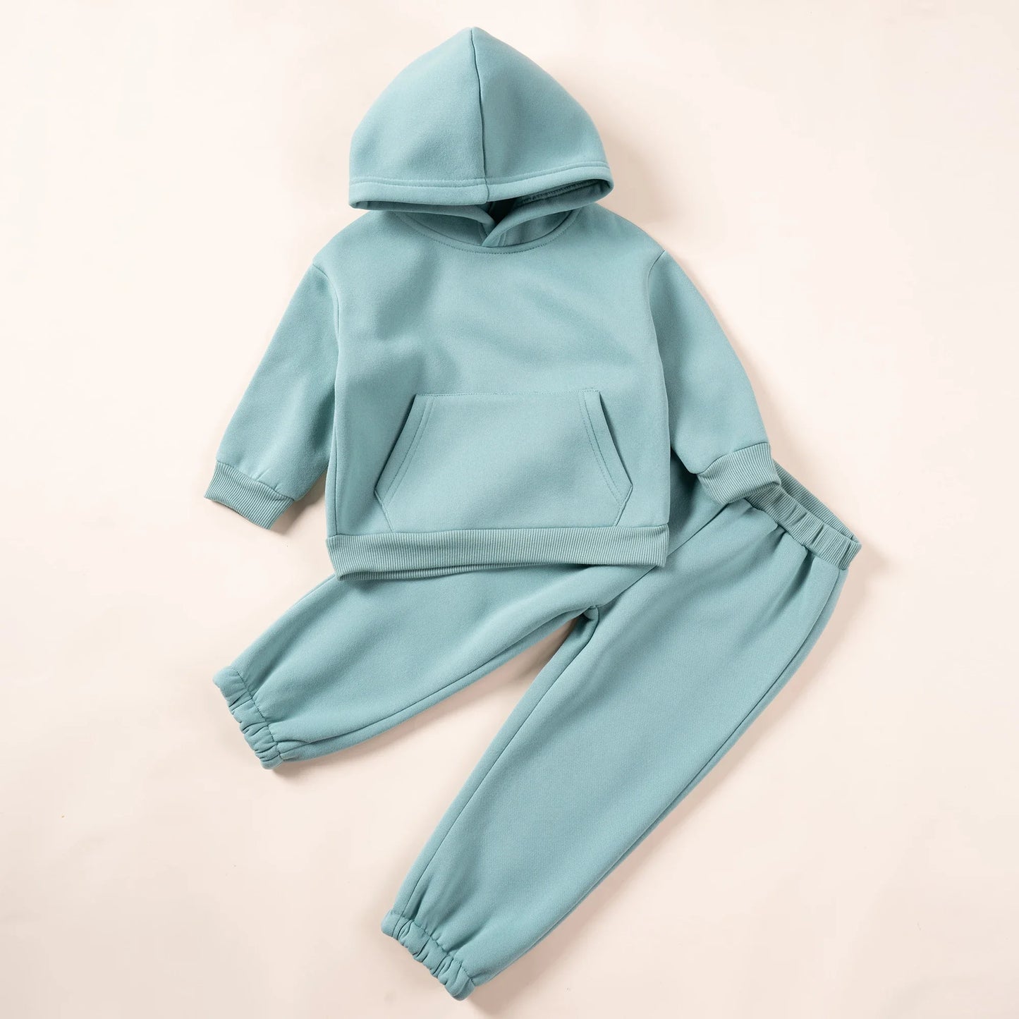 Solid Hooded Sweatshirt & Pants Set